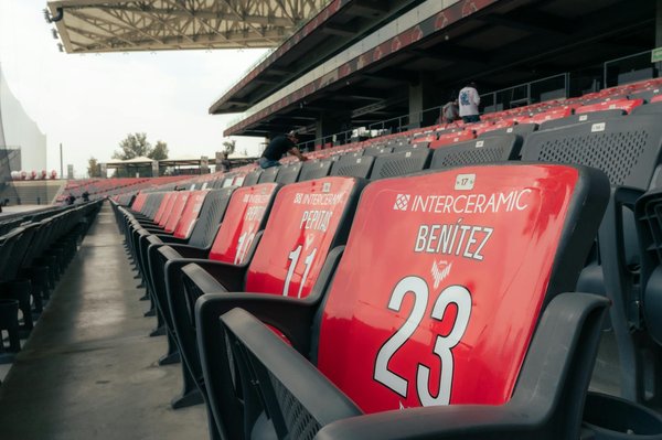 Guide complet pour débuter la musculation