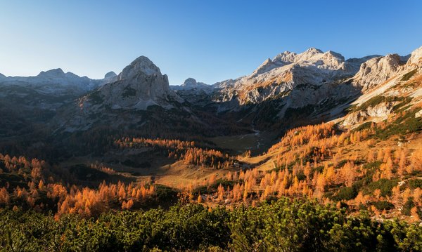 Comparatif des meilleurs vélos de route en 2023